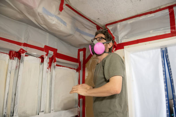 Best Mold Documentation for Insurance Claims  in Kailua, HI