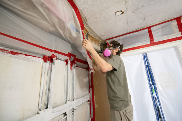 Best Comprehensive Air Testing for Mold Contaminants  in Kailua, HI